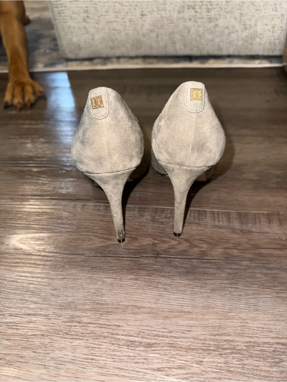 Ivanka Trump Gray Suede Pointed-Toe Stiletto Pumps